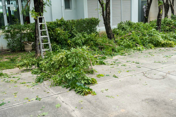 Best Emergency Tree Service  in Beattystown, NJ